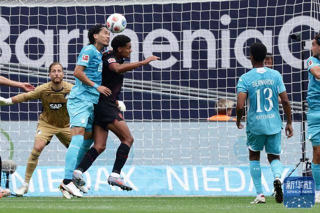 足球丨德甲：勒沃库森不敌霍芬海姆